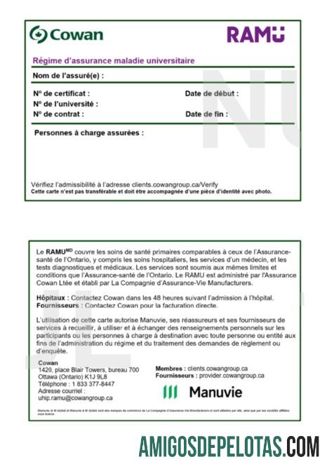 Cartão de seguro saúde de Burkina Faso modelo